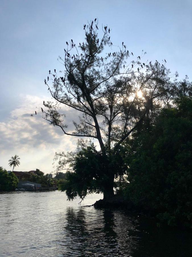 Paraiso Na Ilha Da Gigoia ริโอเดจาเนโร ภายนอก รูปภาพ