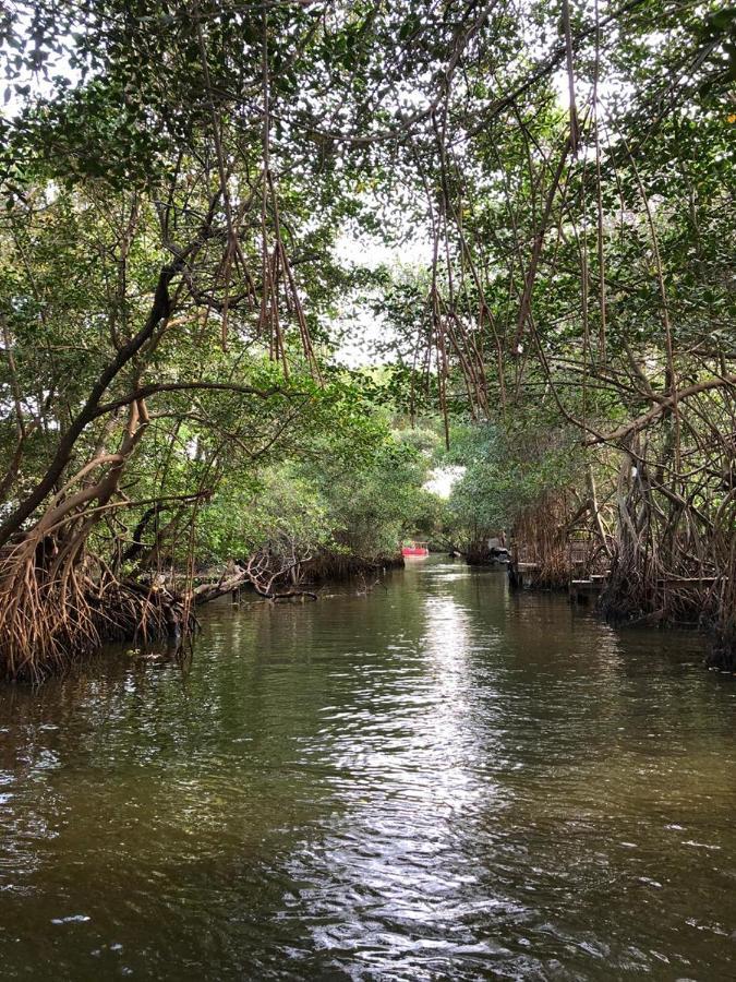 Paraiso Na Ilha Da Gigoia ริโอเดจาเนโร ภายนอก รูปภาพ